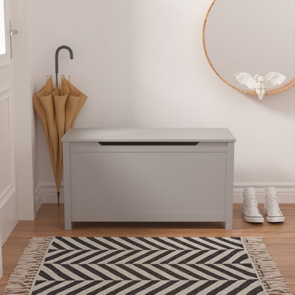 Toy Storage With Safety Hinged Lid