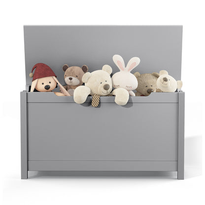 Toy Storage With Safety Hinged Lid