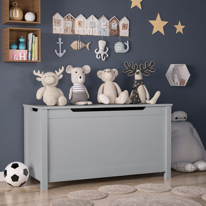 Toy Storage With Safety Hinged Lid