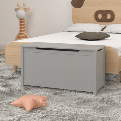 Toy Storage With Safety Hinged Lid